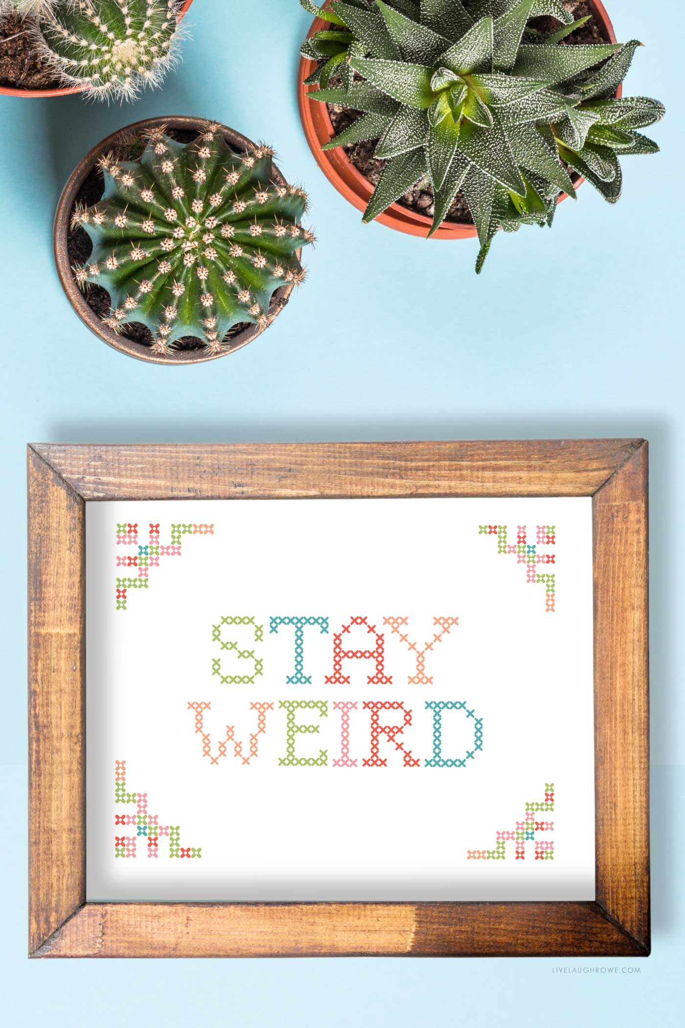 Colorful Stay Weird printable in a rustic wood frame beside potted succulents