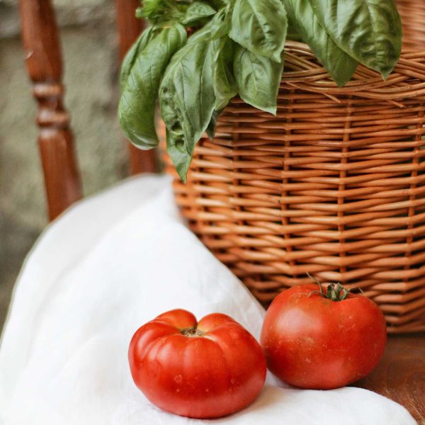 Two ripe red tomatoes on a white cloth beside a basil plant in a woven basket.