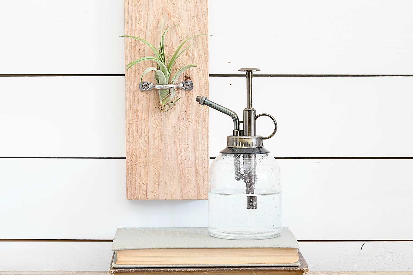DIY air plant hanger made with a wood board and metal hardware