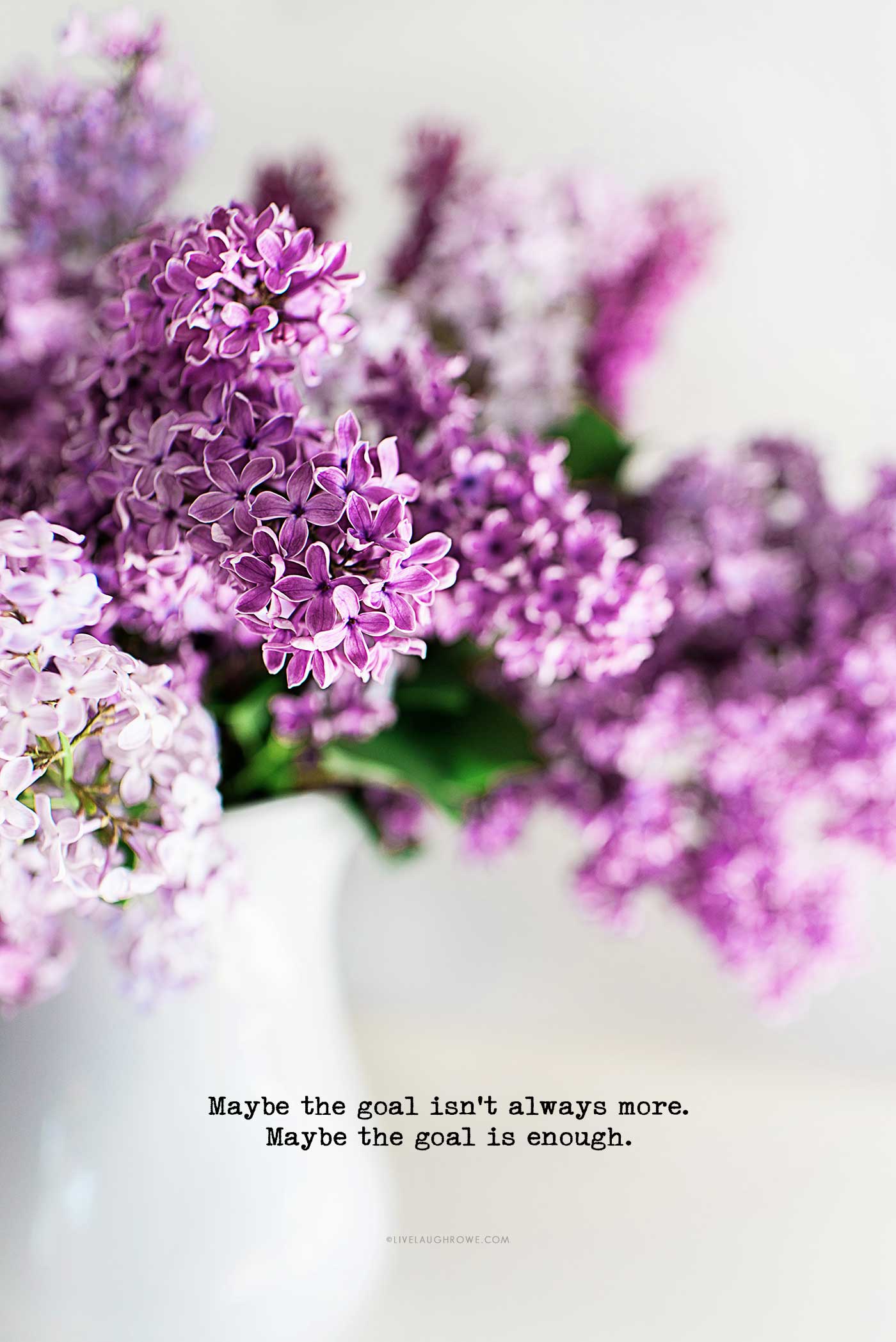 Purple lilacs with the quote, &ldquo;Maybe the goal isn&rsquo;t always more. Maybe the goal is enough.&rdquo;