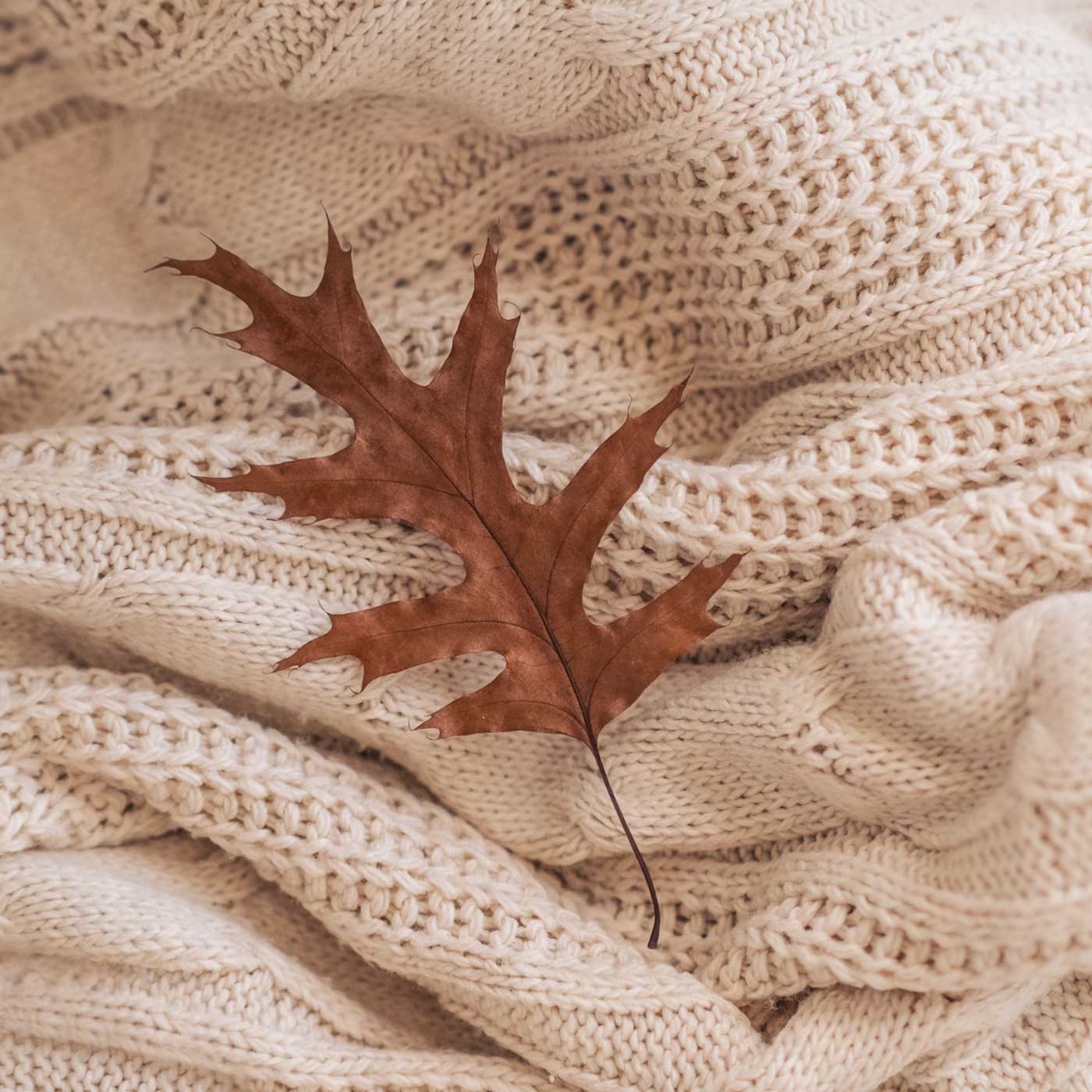 Brown autumn leaf resting on a cream chunky knit blanket.