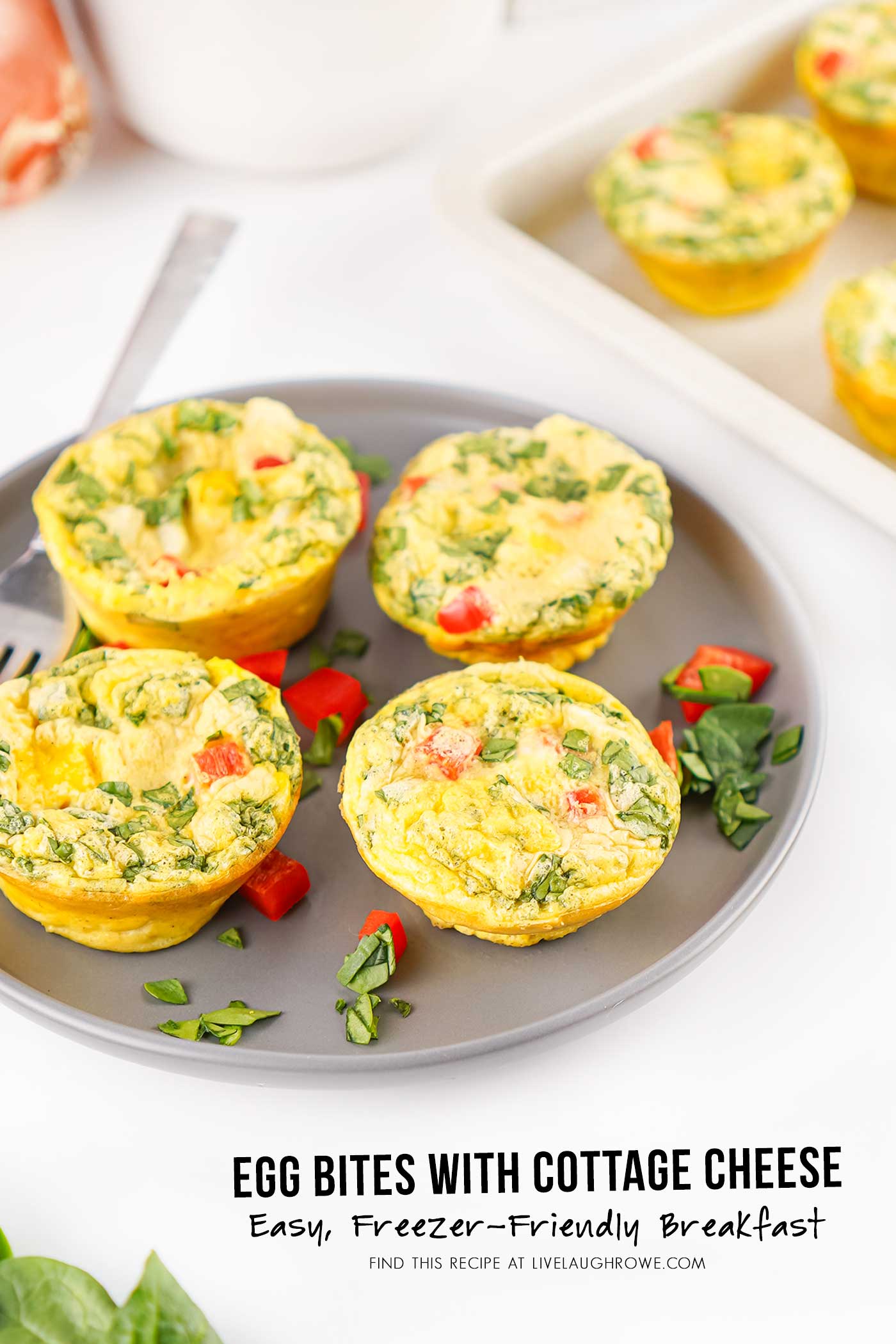 Egg bites with cottage cheese, spinach, and red bell pepper served on a gray plate