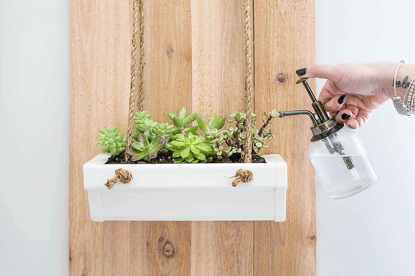 Rustic hanging gutter planter mounted on a wood board and filled with small green plants