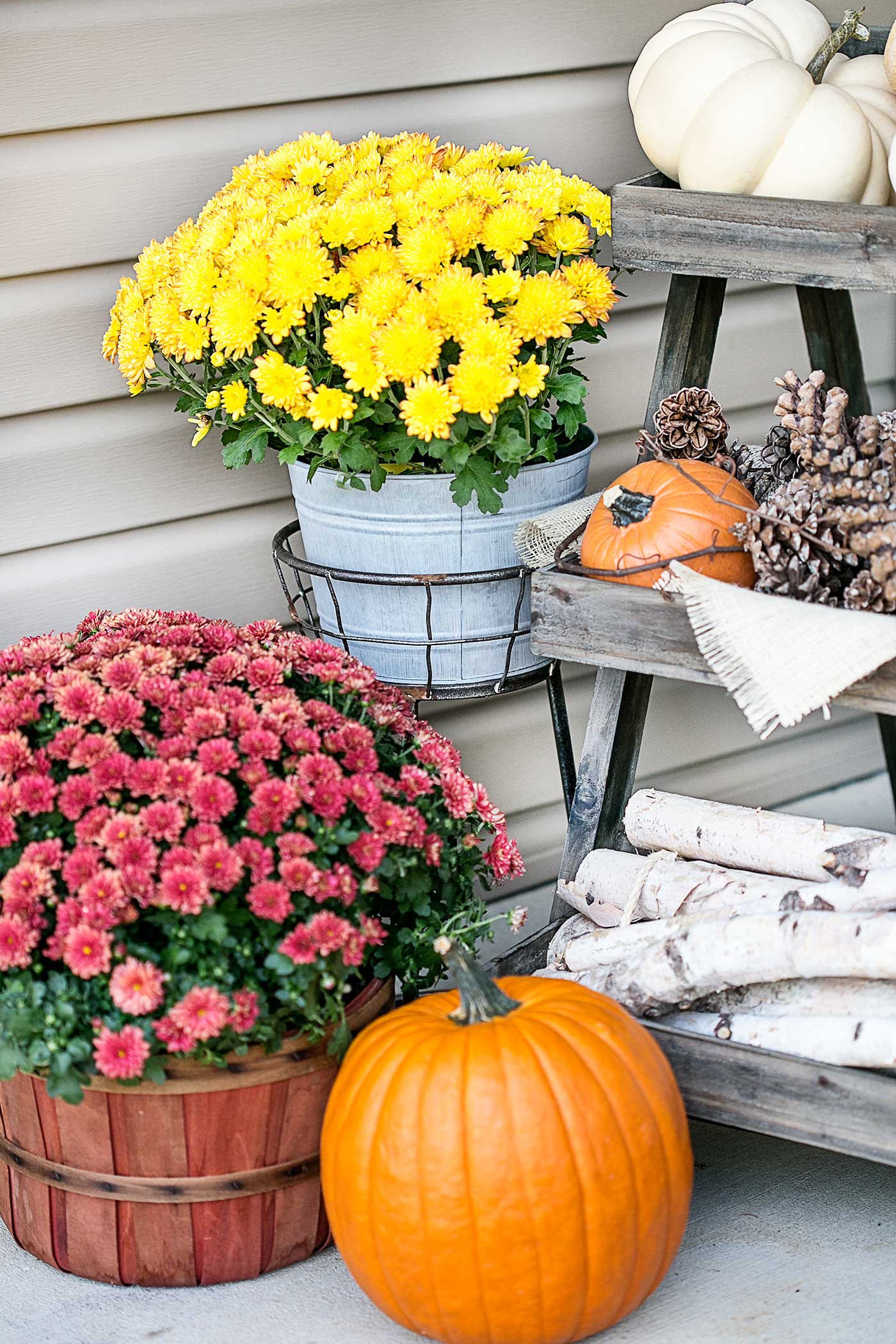 Fall front porch decor with yellow and burgundy mums, orange and white pumpkins, pinecones, and birch logs.