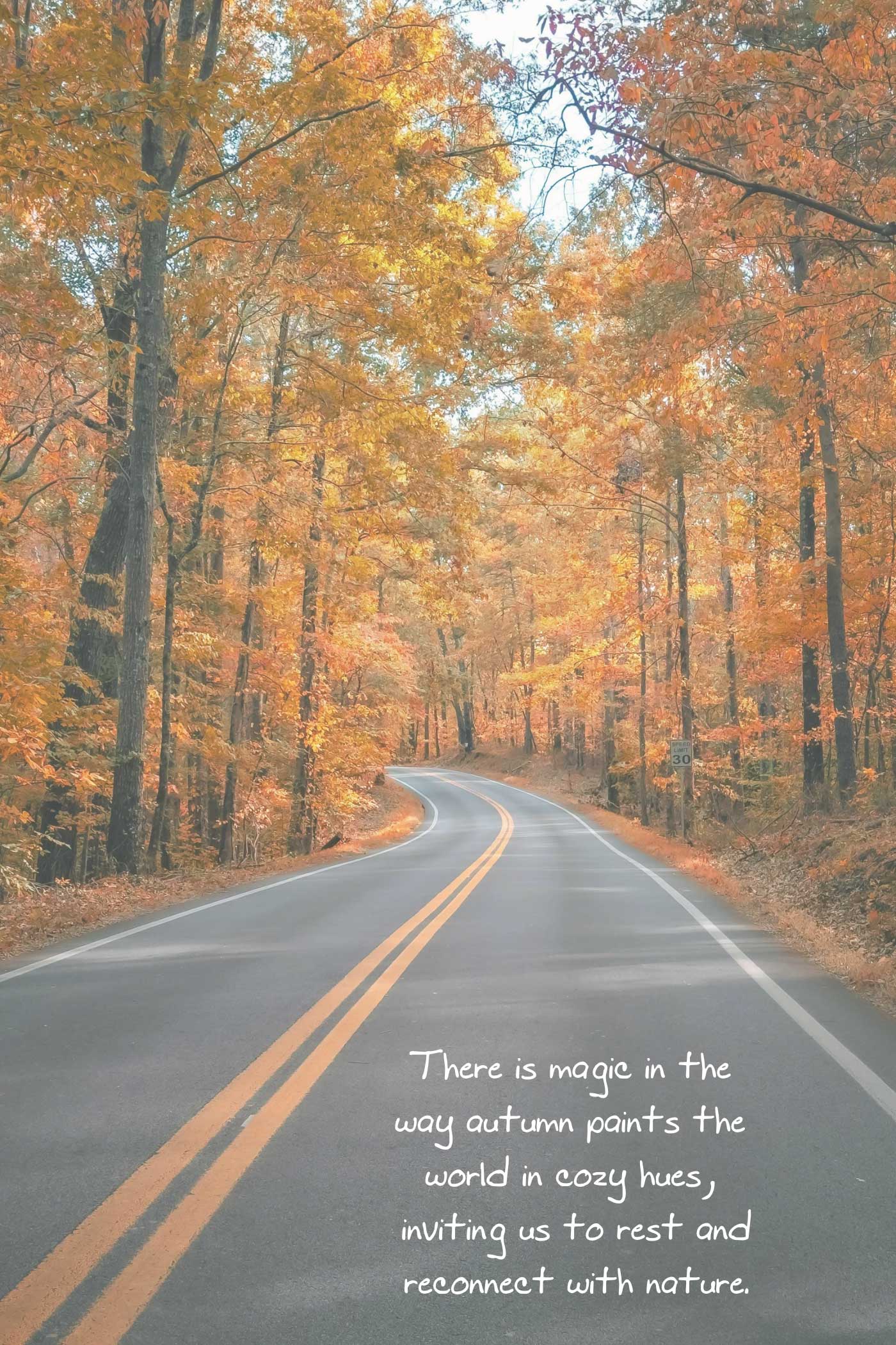 A winding road beneath golden autumn trees with the quote, &ldquo;There is magic in the way autumn paints the world in cozy hues, inviting us to rest and reconnect with nature.&rdquo;