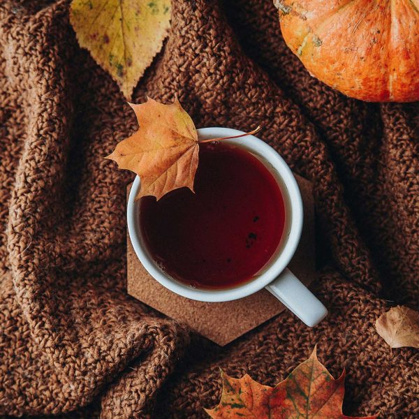 White mug of tea resting on a chunky brown knit blanket with orange and yellow autumn leaves and a pumpkin nearby.
