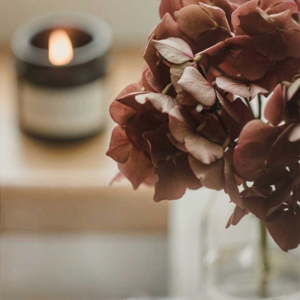 Close-up of burgundy hydrangeas in a clear glass vase with a glowing candle in the background.