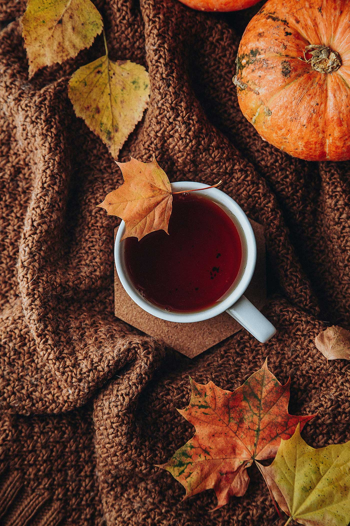 Overhead view of a white mug filled with tea, surrounded by orange pumpkins, colorful autumn leaves, and a chunky brown knit blanket.