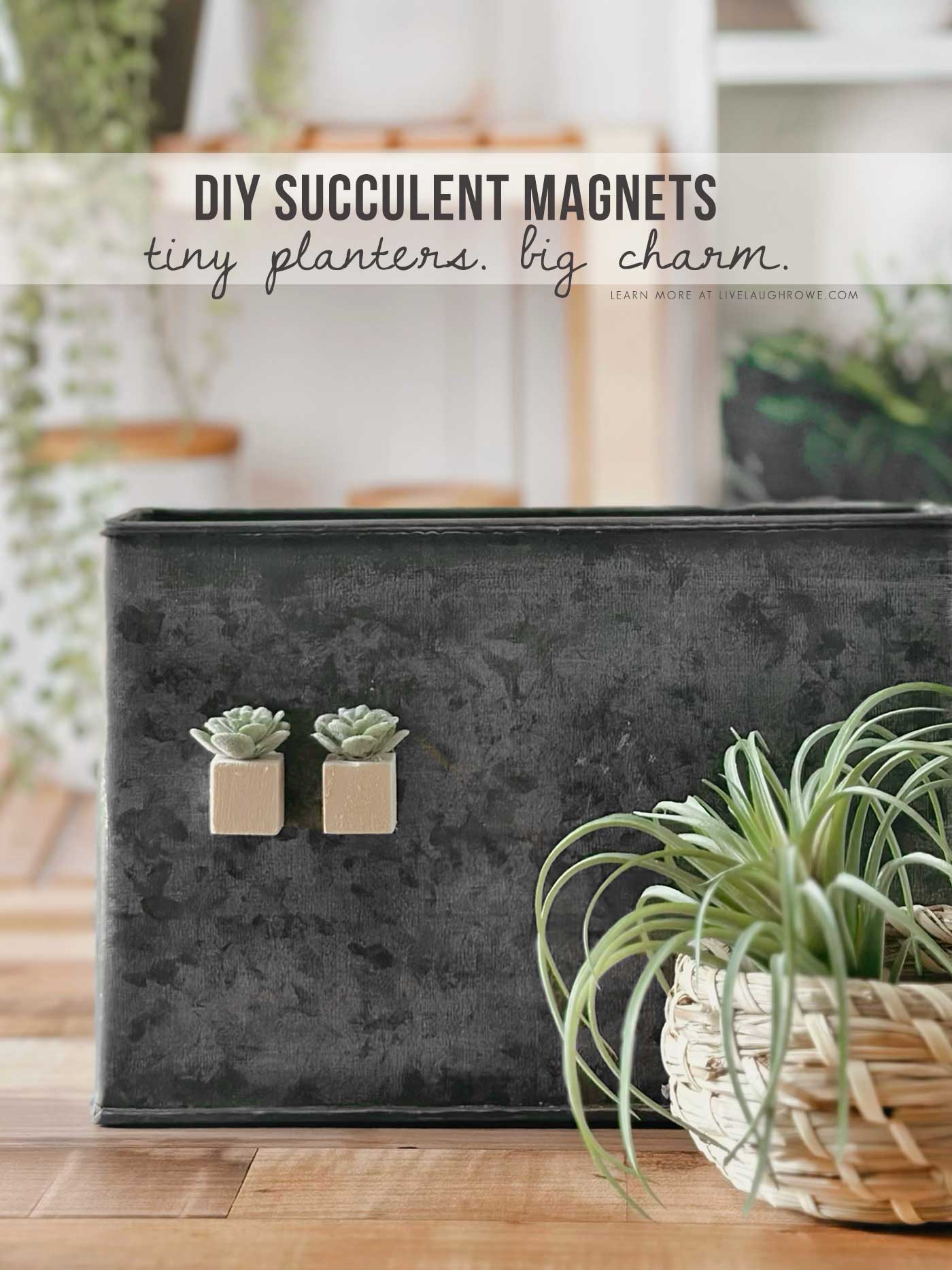 Two faux succulent magnets with mini wood block bases on a dark metal container, with text reading “DIY Succulent Magnets — tiny planters. big charm.”