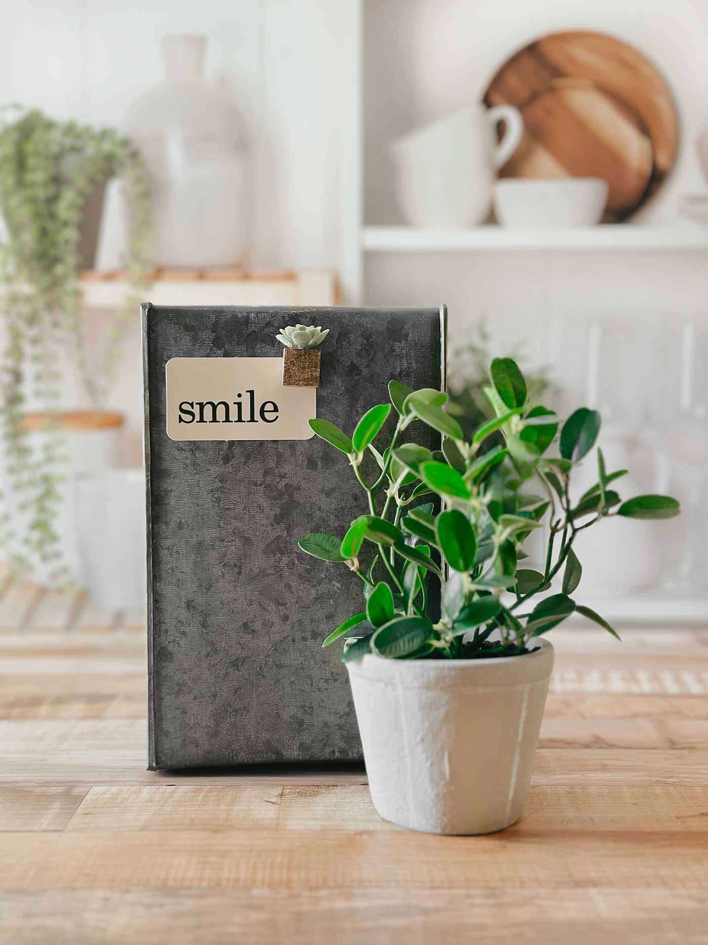 A succulent magnet with a brown wood block base holding a “smile” note on a dark metal container beside a potted plant.