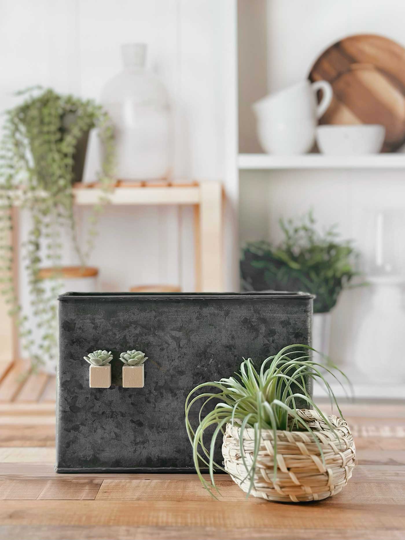 Two succulent magnets with unfinished wood block bases on a dark metal container beside a spider plant in a woven basket.