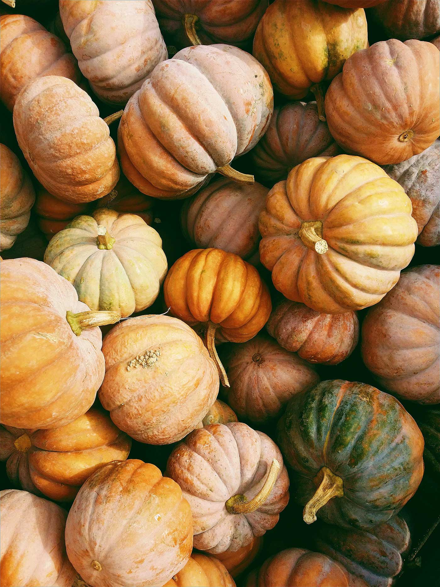 A collection of ribbed pumpkins in muted peach, orange, cream, and green.