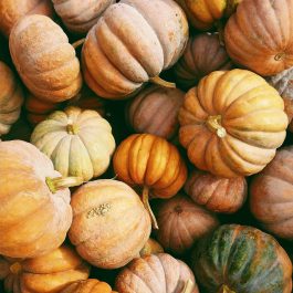 Muted orange, peach, cream, and green pumpkins clustered together in a square fall photo.